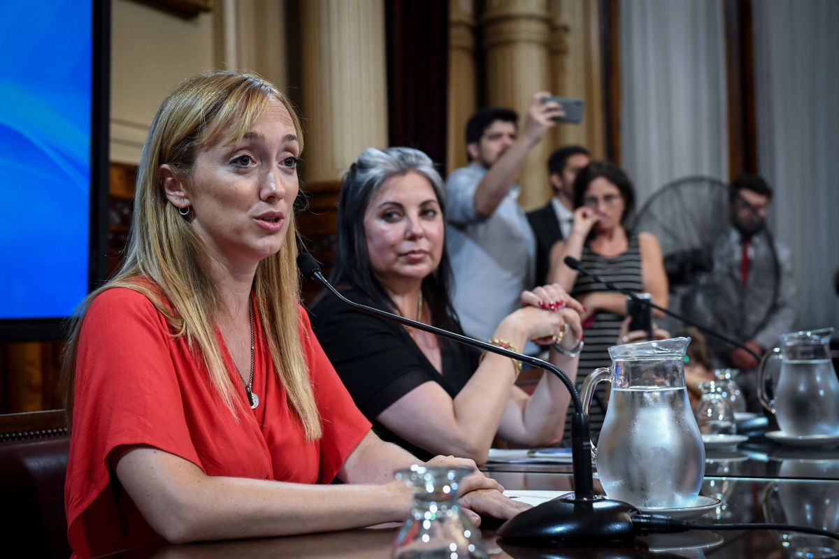 Los candidatos de Fernández a embajadores rendirán examen en el Senado el martes 18
