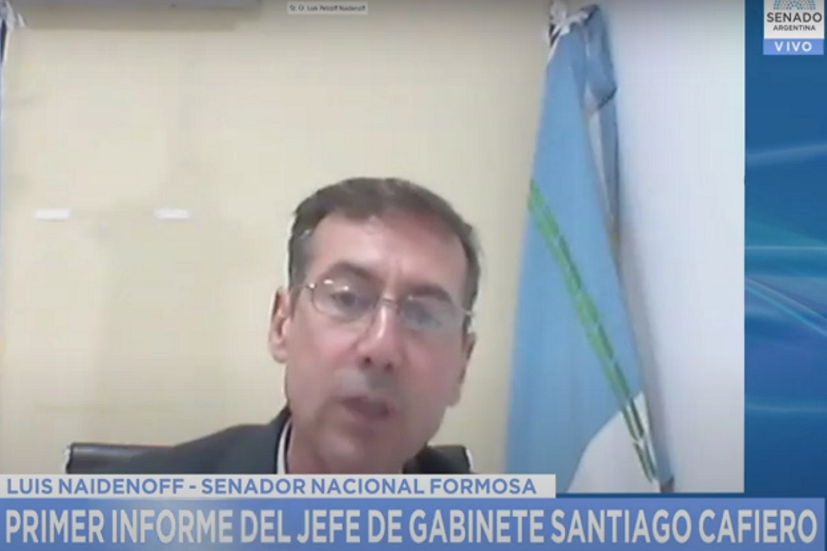 luis naidenoff sesion informativa cafiero 18 junio 2020