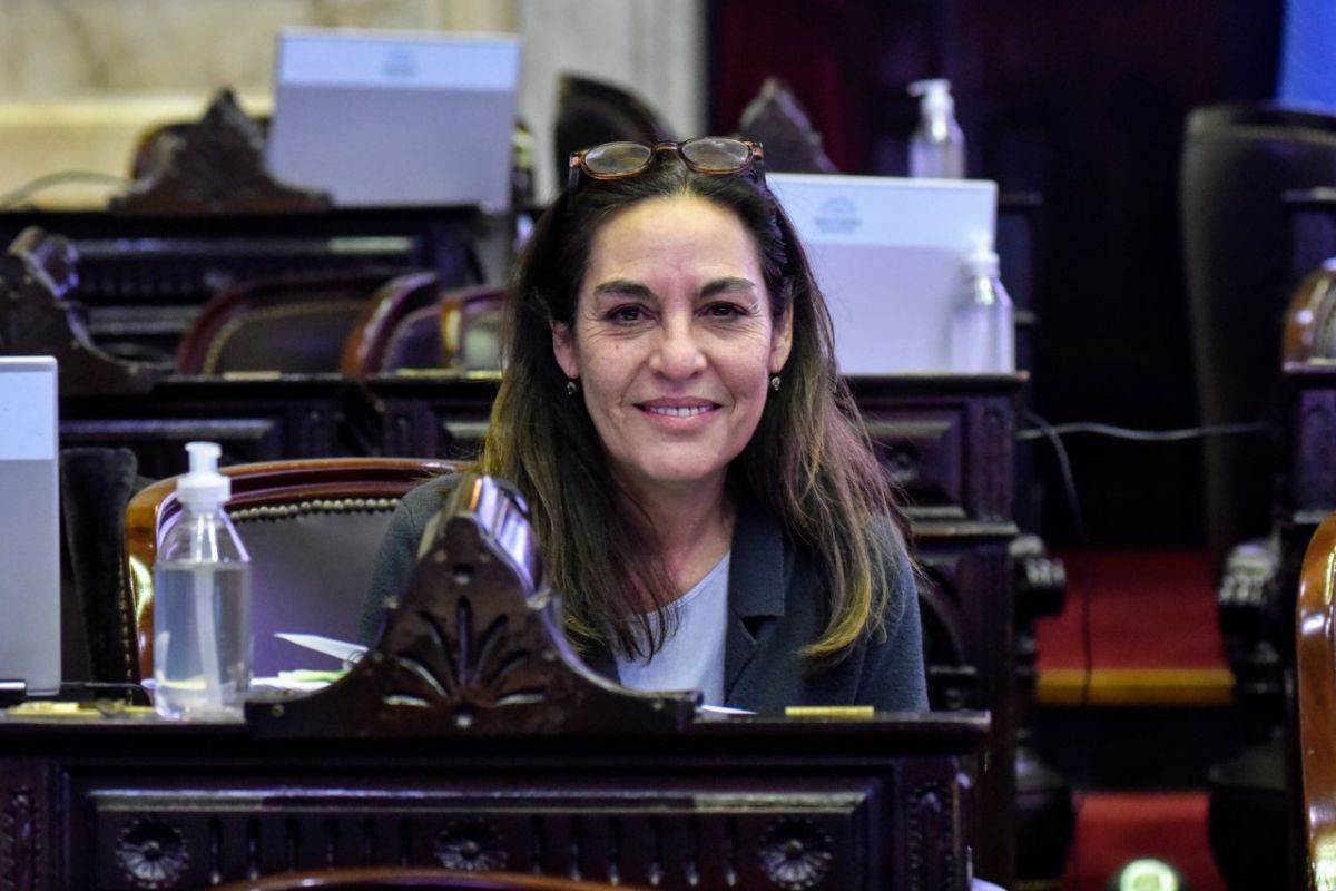 Carla Carrizo dio las razones por las que no dieron quórum – Parlamentario