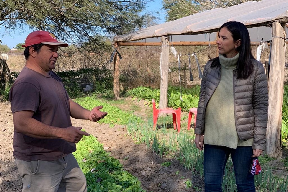 sofia brambilla agricultura