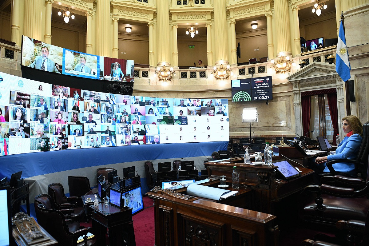 sesion virtual senado 3 septiembre 2020