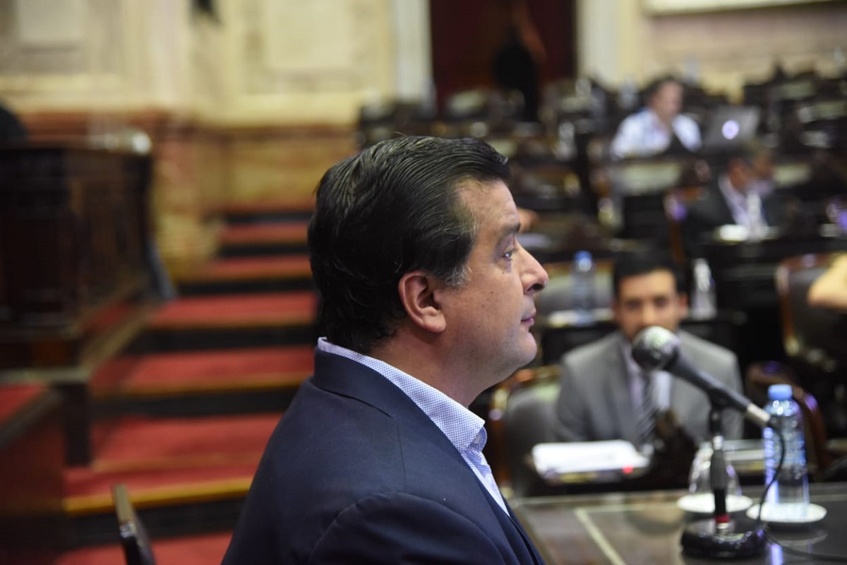 plenario comisiones diputados formula de movilidad casaretto