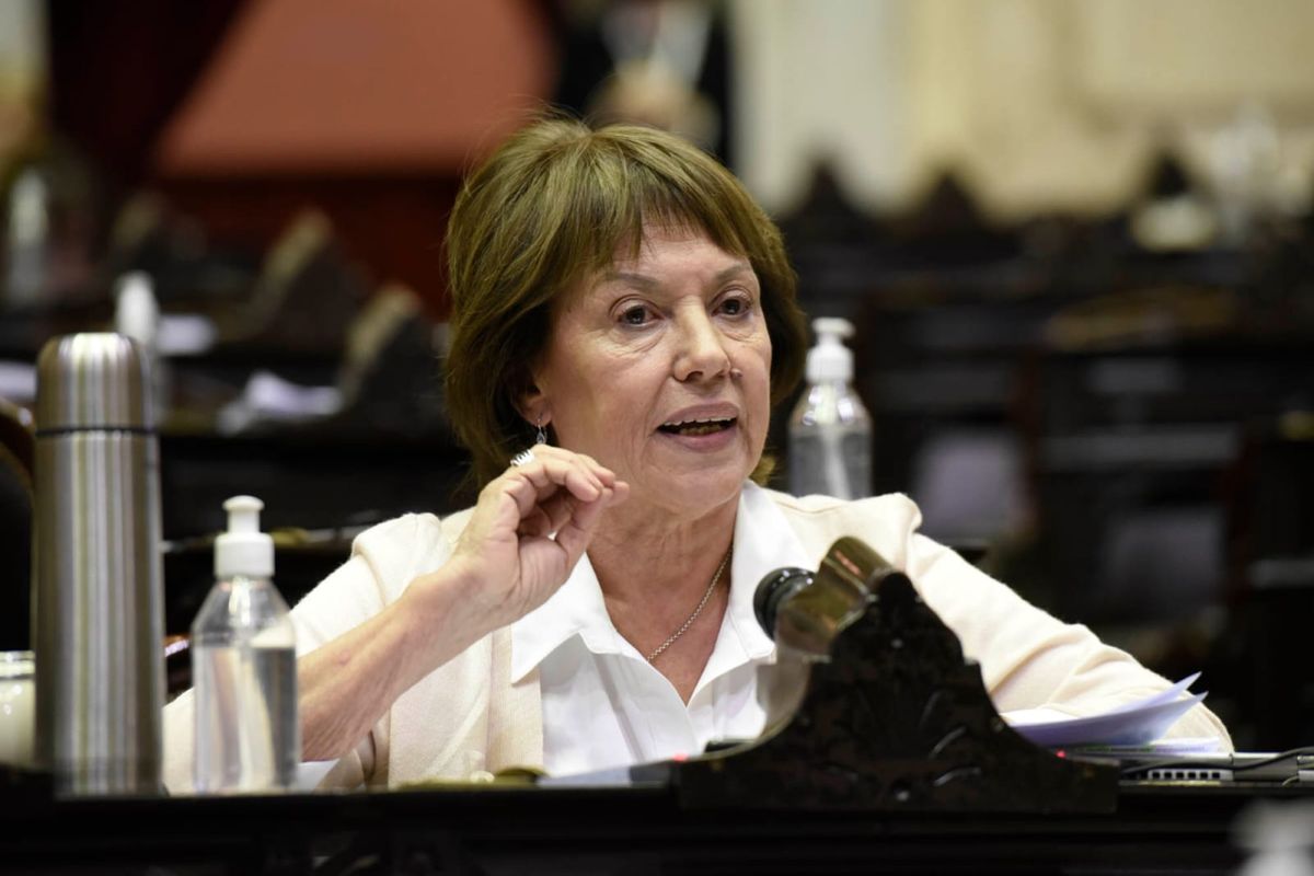 Osuna sobre el gesto de Ritondo: “Me dio asco y vergüenza” – Parlamentario