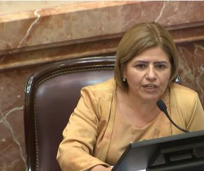 Clara Vega: “La agenda parlamentaria no tiene nada que ver con las necesidades de la ciudadanía” 
