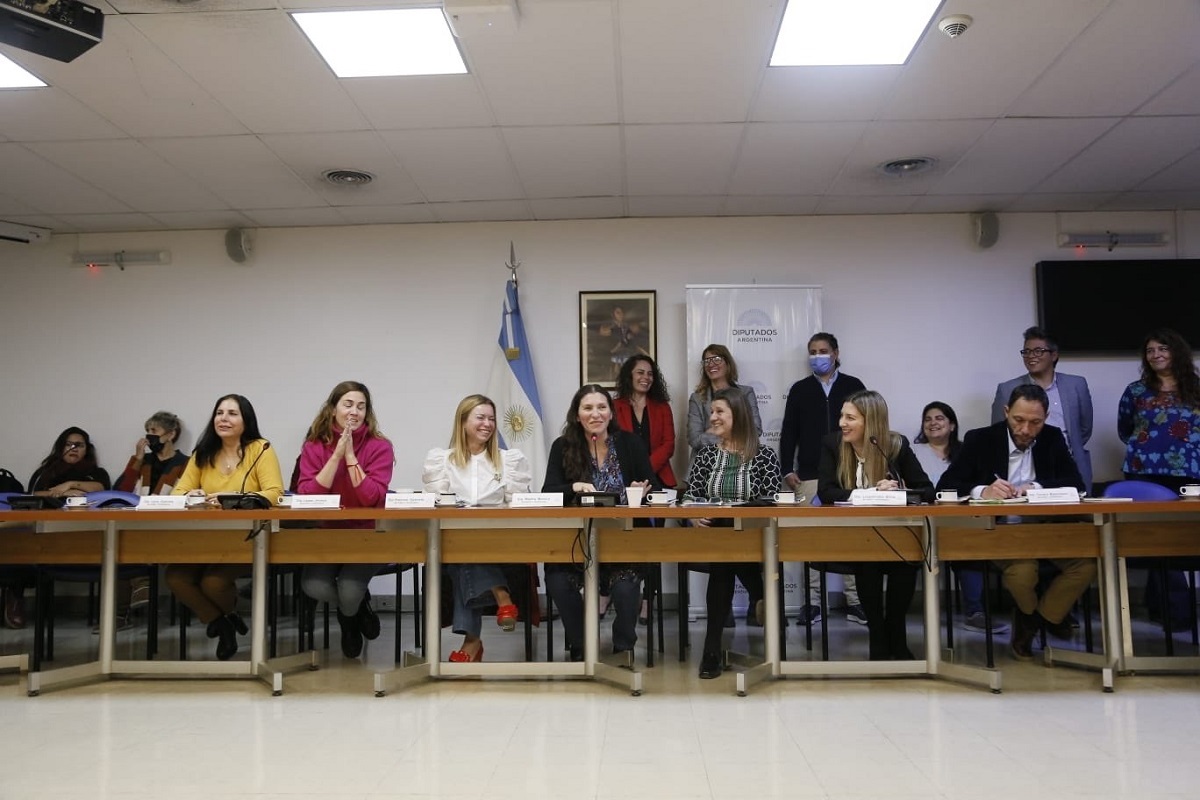 comision diputados mujeres y diversidad macha presidenta