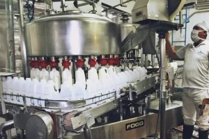 Argentina exportó productos lácteos por más de 20 millones de dólares en julio