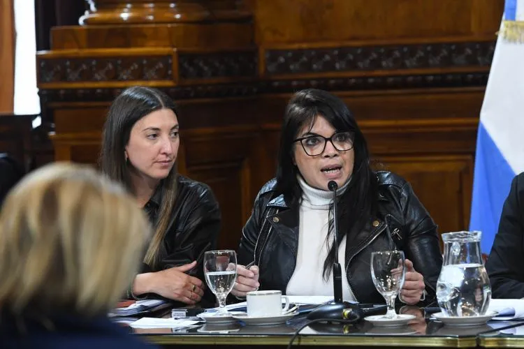 María Eugenia Duré explicó su proyecto para instituir el Día Nacional de la Adopción. (Foto: Comunicación Senado)