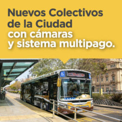 movilidad_300x300