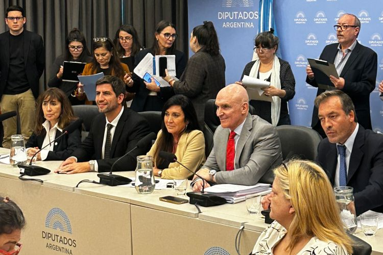 Plenaario-de-baja-de-imputabilidad-dictamen-14-anos