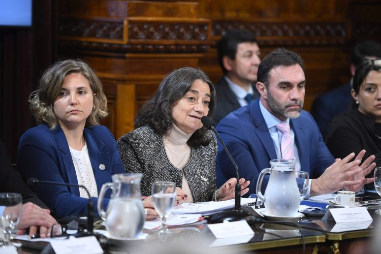 Dictamen-Garrahan-plenario-Senado-19-de-agosto