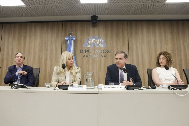 Comision-de-Asuntos-Municipales-25-de-noviembre-del-2025